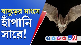 বাদুড়ের মাংসে সারবে হাঁপানি! কুসংস্কারের জালে Corona-র কালপ্রিটরা | TV9 Bangla