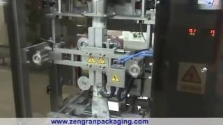 VFS5000DS Special Measuring Salt Packaging Machine—AnHui ZengRan