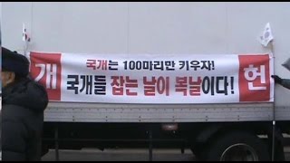 16년12월31일 국개를잡는날이복날이다(피켓구호현수막) : 탄핵기각국회해산 백만애국시민집회