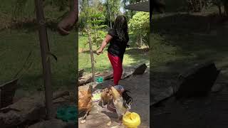 african retired village mum morning chores🙏🙏