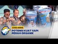 Hilirisasi Produk Susu dan Keju Organik