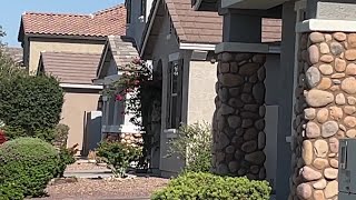 Preparing your home for the monsoon season