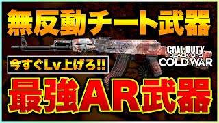 【COD:BOCW】使わないと損!!無反動チート\u0026高火力AK-47が強すぎてヤバい!!おすすめカスタム紹介【コールドウォー/ラビハン実況】