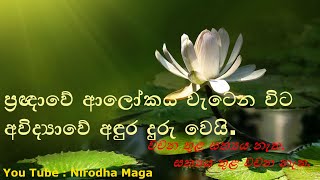 68 ප්‍රඥාවේ ආලෝකය වැටෙන විට අවිද්‍යාවේ අඳුර දුරු වෙයි - 2019.07.16