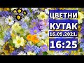 Cvetni kutak ep. 97 16.09.2021. NAJAVA