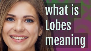 Lobes | meaning of Lobes