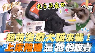 EP25 完整版｜超萌治療犬貓來襲🐶 全台首隻醫院駐點療癒犬 專業陪睡伴病童 背後故事藏洋蔥 訓練考照通過30關 你家毛小孩也能當治療犬~｜健康零距離｜FORA 福爾耳溫槍