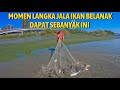 AMAZING ‼️ FISHING NET IN MUARA GET HUGE MALLET / BEST NET FISHING