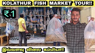 கொளத்தூர் கலர் மீன் மார்க்கெட் விசிட்! | Kolathur fish market | kolathur colour fish farm in tamil