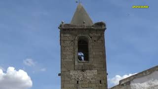 ALCOLLARIN (Cáceres-Spain)