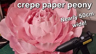 Large crepe paper peony flower tutorial