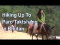 Foreigners Visiting Amazing Tiger's Nest In Bhutan! Paro Taktshang