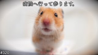 しばらく活動休止します...エルモ君..