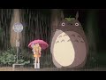 Lo-Fi Beats To Study Relax Sleep - 'Waiting In The Rain' - Studio Ghibli LoFi - LoFi Hip Hop Mix