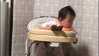 ［生後８ヶ月］遊び方間違えてるcocomi