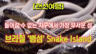 [랜선여행] 세계에서 가장 무서운 섬인 '뱀섬'은 어떤 곳일까요? 🏝️🐍