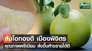 ส้มโอทองดี เมืองพิจิตร คุณภาพพรีเมียม ส่งขึ้นห้างรายได้ดี | เกษตรนิวเจน