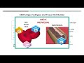 abo incompatible transplantation then now and tomorrow dr. lori west