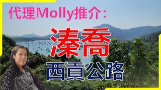 【#代理Molly推介】溱喬西貢公路〈獨立屋〉