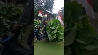 gebyar HUT RI ke 77 pejuang ramban