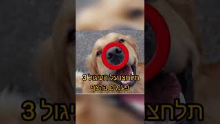 מי לחץ?