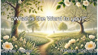 What is the Word to you? (1 Peter 1:22-2:3)