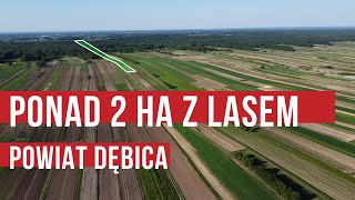 Ponad 2 hektary z lasem w powiecie dębickim - tania działka z wartościowym drzewostanem Podkarpacie