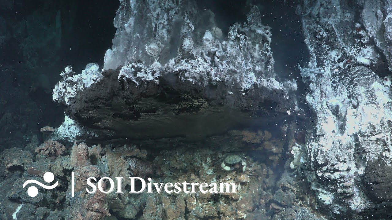 Dsl2b Site Discovery Of New Vents Soi Divestream 572 Youtube