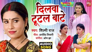 DILWA TUTAL BATE I दिलवा टूटल बाटे AUDIO SONG 2025 FOOLORI BINA CHATNI KAISE BANI (भोजपुरी फिल्म )