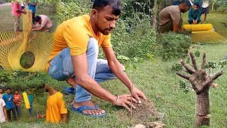 jagaddal ke meghna ghat par birsharopan ka kam kiya gya🌲🌲