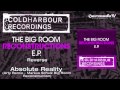 reverse absolute reality arty remix markus schulz big room reconstruction