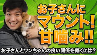 愛犬がお子さんにマウント！甘噛み！子供とワンちゃんの関係性を築くには？