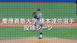 慶應義塾大学 橋本達弥選手 投球シーン