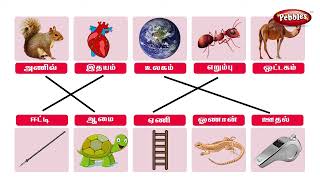 உயிர்க்குறில் சொல்லை உயிர் நெடில் சொல்லுடன் பொருத்துக்க - அடிப்படைத் தமிழ் | Learn Basic Tamil words