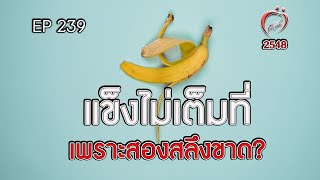 แข็งไม่เต็มที่ เพราะสองสลึงขาด? - ชูรักชูรส ep 239