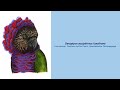 Video Encyclopedia of Parrot Species - #324  Deroptyus accipitrinus fuscifrons Loro