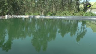 ಬೋರ್ವೆಲ್ ನೀರಿಗೆ ಪರ್ಯಾಯ ಕೃಷಿಹೊಂಡ | Farm Pond