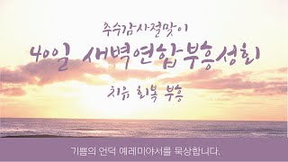 11.6(금) 추수감사절맞이 40일 특별새벽연합부흥성회 DAY 25