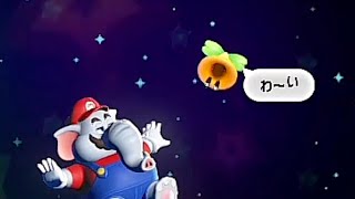 おしゃべりフラワー全セリフ集【マリオワンダー】