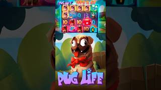 ЗАНОСИЩЕ В Pug Life #slot #maxwin #bigwin #заносынедели