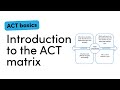 Introduction to the Acceptance and Commitment Therapy (ACT) matrix with Dr Joe Oliver