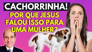 CACHORRINHA! Por que Jesus falou isso para a mulher Cananeia? Ele foi GROSSO com ela?