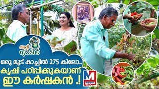 കൃഷിയെ സ്നേഹിക്കുന്നവർക്ക് സീക്രട്ടുകൾ പഠിപ്പിക്കുന്ന കളരി..I Thani nadan I farming