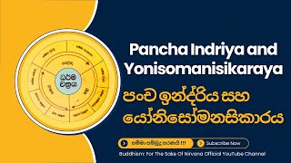 Pancha Indriya and Yonisomanisikaraya - පංච ඉන්ද්‍රිය සහ යෝනිසෝමනසිකාරය !! | සම්මා සම්බුදු සරණයි !!!