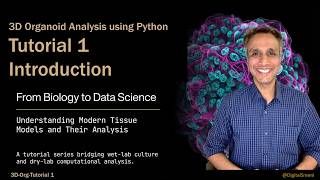 3D Organoid Data Analysis with Python | Tutorial 1: Introduction & Pipeline Overview