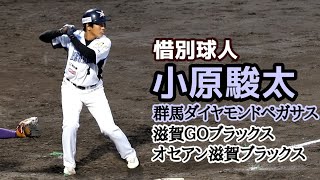 惜別球人！小原駿太！オセアン滋賀ブラックス！滋賀ＧＯブラックス！群馬ダイヤモンドペガサス！