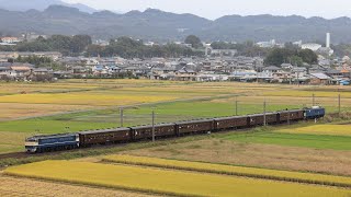 高崎エリア最後のELプッシュプル運転か？2024年EL群馬県民の日