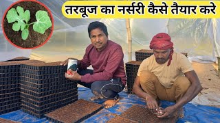 तरबूज का नर्सरी कैसे करे | Watermelon Nursery |