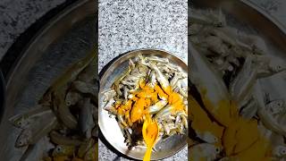 fish curry 🐠🐠🐠 | small fish haldi curry | fish curry #fishrecipe #smallfish #fish