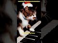 Master Melodies | Cat Playing Piano With Happiness #viral #shorts #piano #cat #treanding